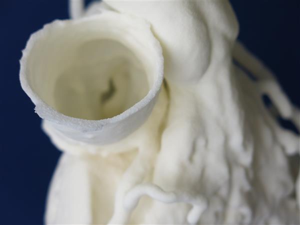 SculpteoԘOõTPUϲ|(zh)SLS(j)3Dӡ(w)