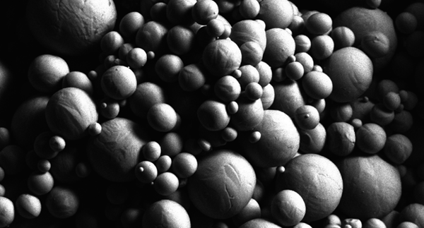 Puris˾⁽3Dӡ