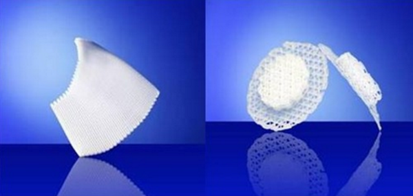 OsteoporeQt(y)3Dӡֲ˹mx