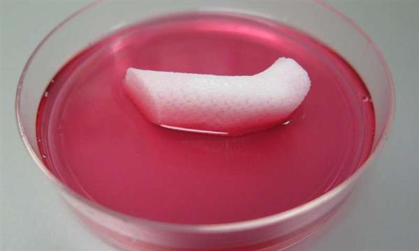 3DӡǺͶܛ