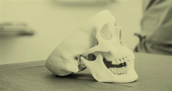 ʿMimedis˾ṩ3Dӡֲ(w)