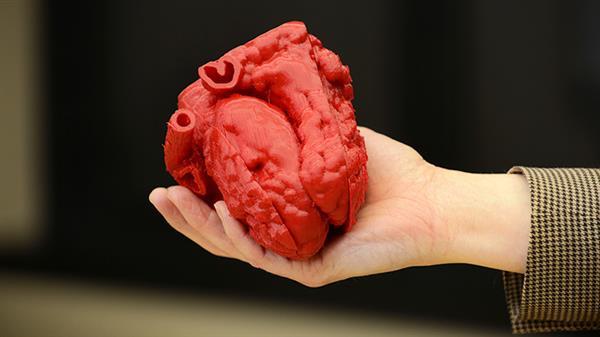 Materialise CEOPע3DӡtI