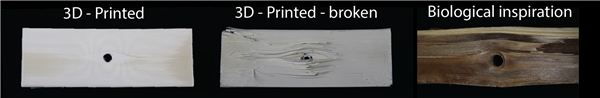 蘇黎世理工使用FDM 3D打印機和液晶聚合物打印輕質結構方法 蘇黎世理工使用FDM 3D打印機和液晶聚合物打印輕質結構方法