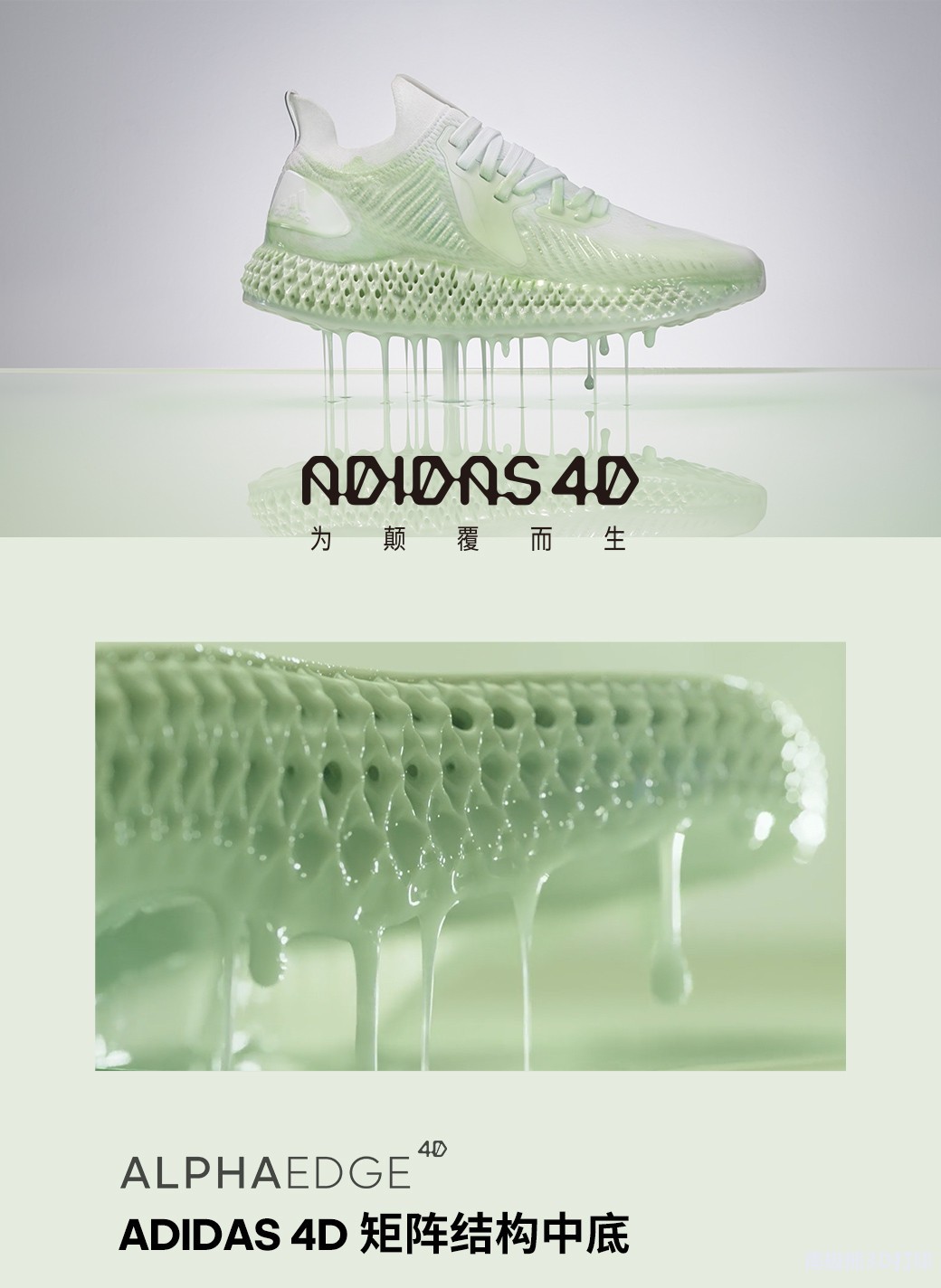 ALPHAEDGE 4D \(yn)(dng)Ь