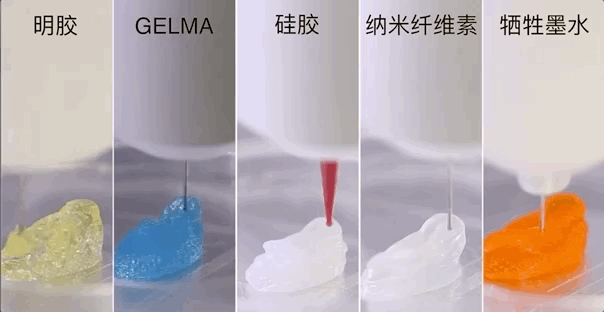 ӡfʽl(f)BioMaker3DӡC(j)