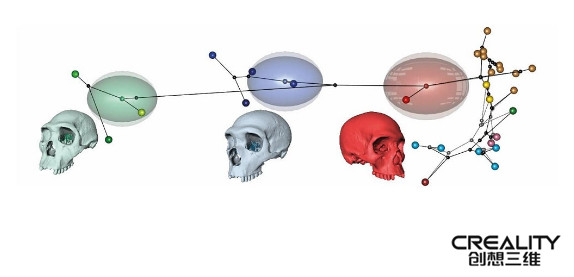3Dӡ