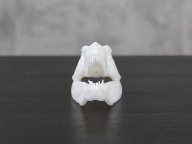 3DӡC(j)