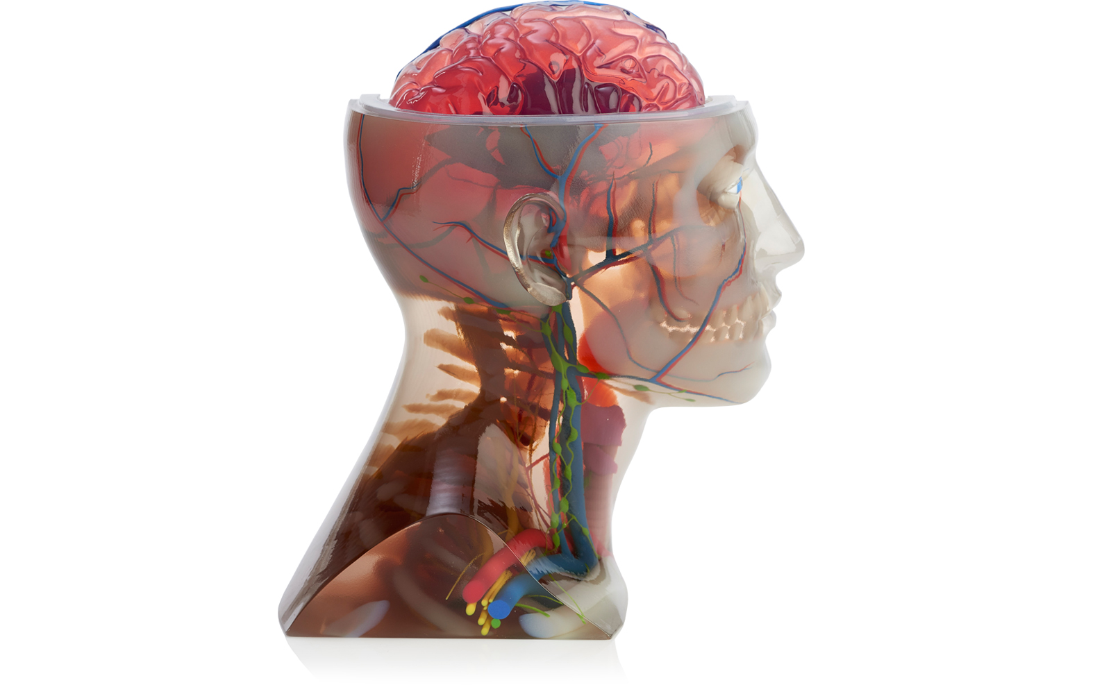 Stratasys J750ϴӡ3DʌW^ģ