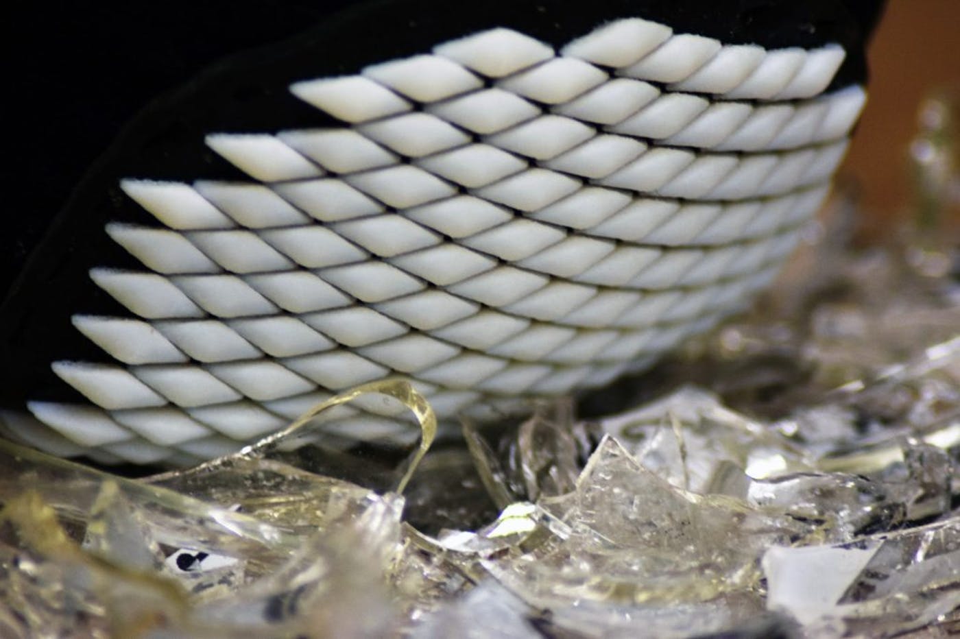 3D打印的柔性裝甲受到碎玻璃上的石鱉類軟體動(dòng)物的啟發(fā) 3D打印的柔性裝甲受到碎玻璃上的石鱉類軟體動(dòng)物的啟發(fā)