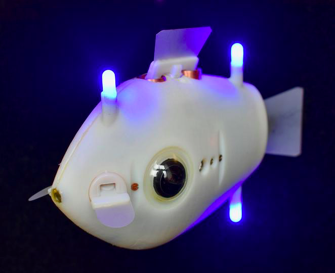 哈佛科學家的受魚啟發的機器人配備了攝像頭和藍色 LED,可幫助它們在水下導航 哈佛科學家的受魚啟發的機器人配備了攝像頭和藍色 LED,可幫助它們在水下導航