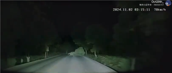 智己夜間自動緊急變道躲開大樹 車主:智能駕駛關鍵時刻真能救命