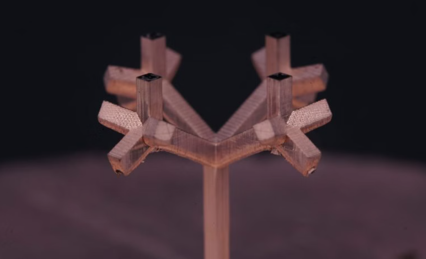 NatureɹݴW(xu)늺ɾ̶3Dӡƽ_F(xin)쾀a(chn)