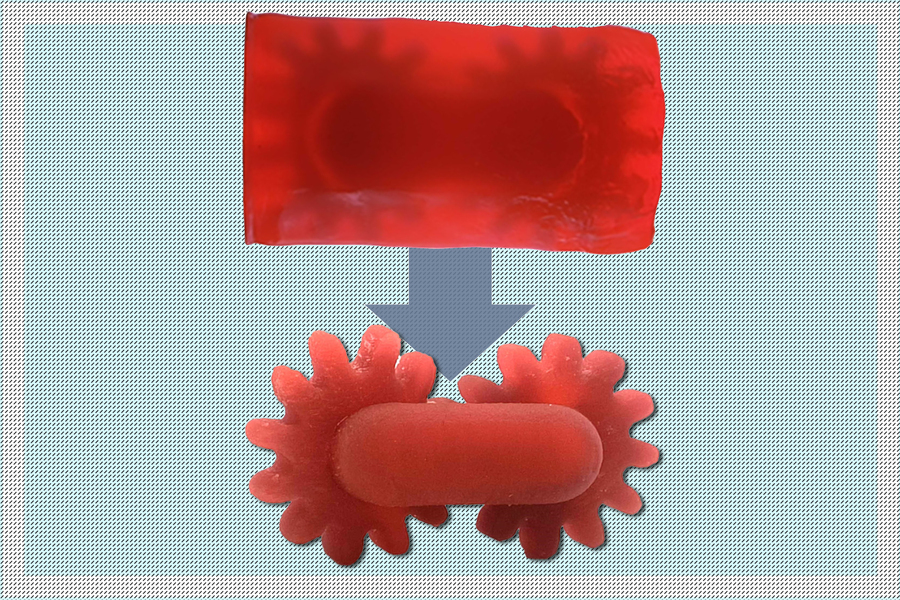 ܴӡҲ֧ΣʡMIT_l͹֬